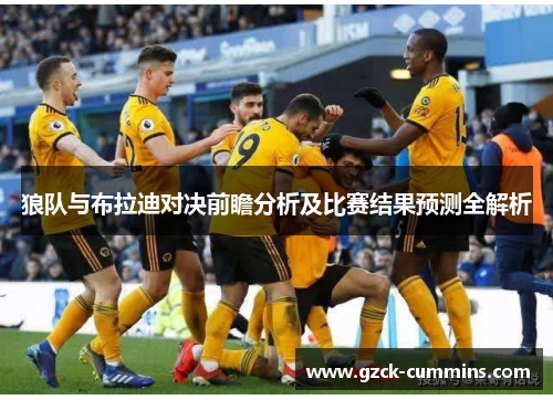 狼队与布拉迪对决前瞻分析及比赛结果预测全解析
